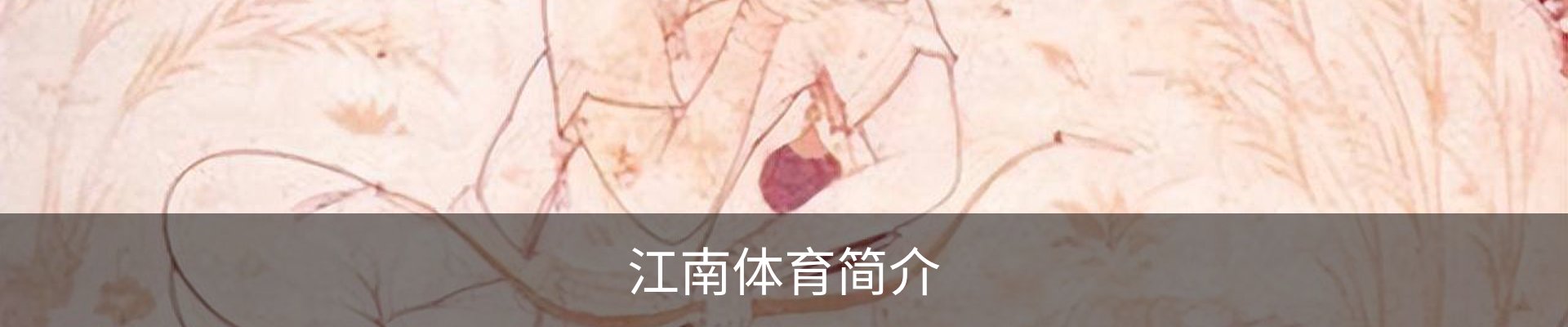 江南体育简介